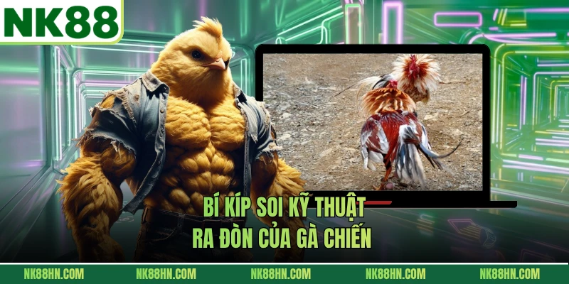 Bí kíp soi kỹ thuật ra đòn của gà chiến