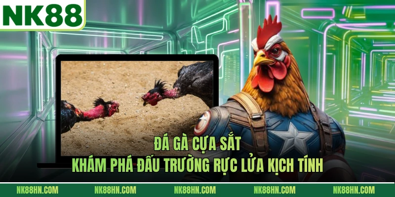 Đá Gà Cựa Sắt - Khám Phá Đấu Trường Rực Lửa Kịch Tính